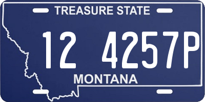 MT license plate 124257P