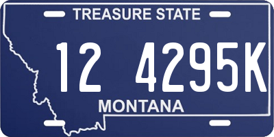 MT license plate 124295K