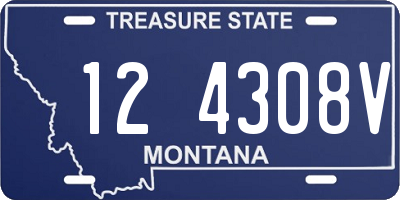 MT license plate 124308V