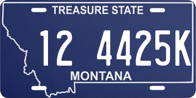 MT license plate 124425K