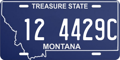 MT license plate 124429C
