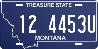 MT license plate 124453U