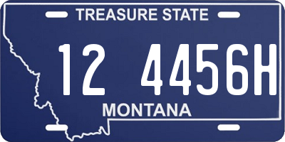 MT license plate 124456H