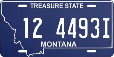 MT license plate 124493I