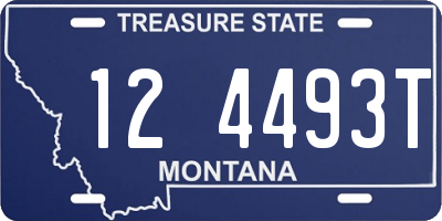 MT license plate 124493T