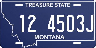 MT license plate 124503J