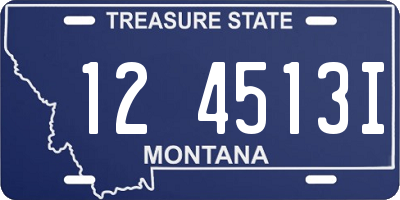 MT license plate 124513I