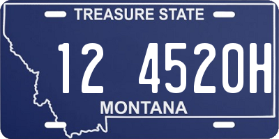 MT license plate 124520H