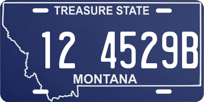 MT license plate 124529B