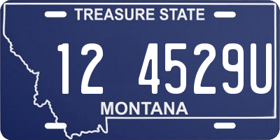 MT license plate 124529U