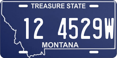 MT license plate 124529W