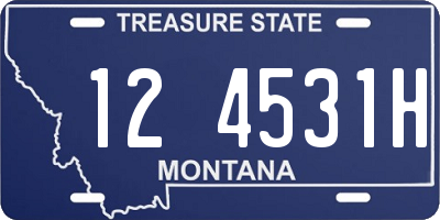 MT license plate 124531H