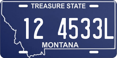 MT license plate 124533L