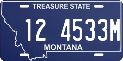 MT license plate 124533M