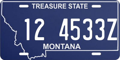 MT license plate 124533Z