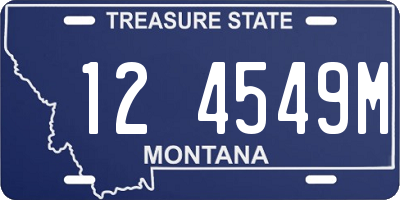 MT license plate 124549M