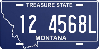 MT license plate 124568L
