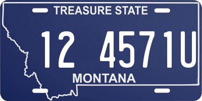 MT license plate 124571U
