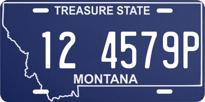 MT license plate 124579P