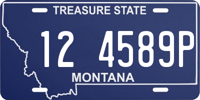 MT license plate 124589P
