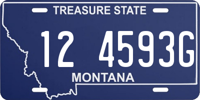 MT license plate 124593G
