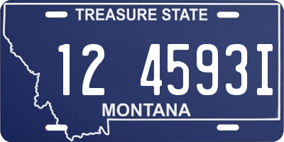 MT license plate 124593I