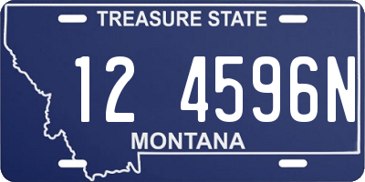 MT license plate 124596N