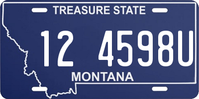 MT license plate 124598U