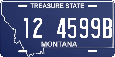 MT license plate 124599B