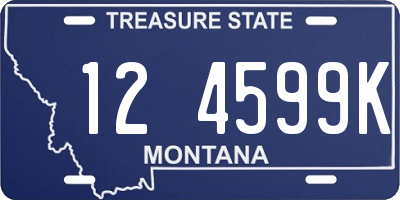 MT license plate 124599K