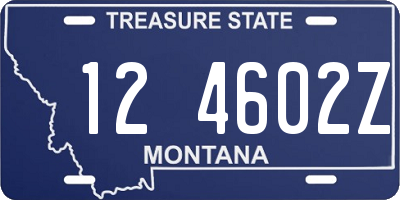 MT license plate 124602Z