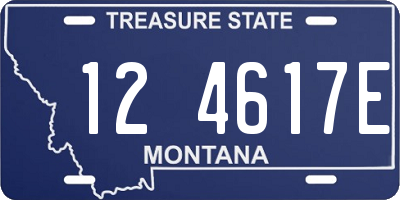 MT license plate 124617E