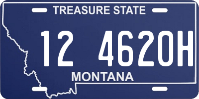 MT license plate 124620H