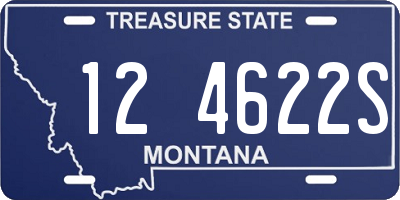 MT license plate 124622S