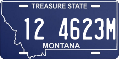 MT license plate 124623M