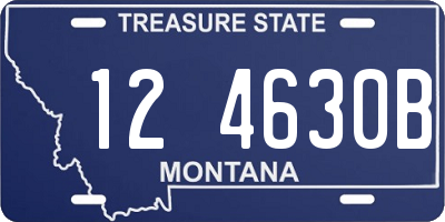 MT license plate 124630B