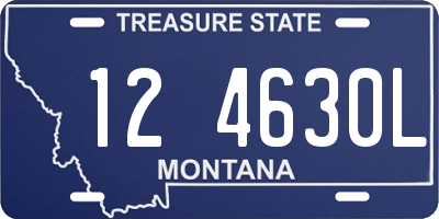 MT license plate 124630L