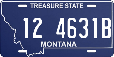 MT license plate 124631B