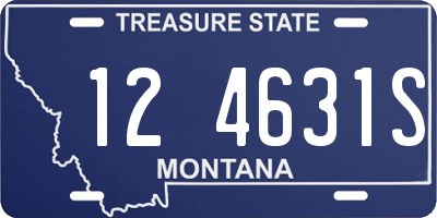 MT license plate 124631S