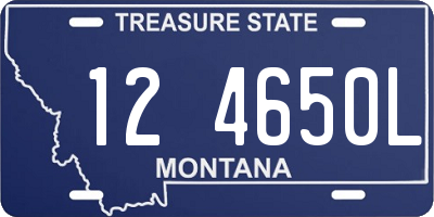 MT license plate 124650L