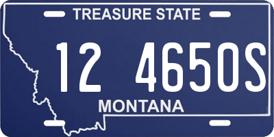 MT license plate 124650S