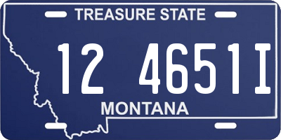 MT license plate 124651I