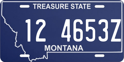 MT license plate 124653Z
