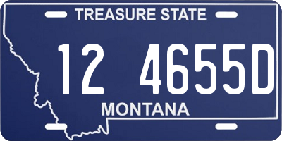 MT license plate 124655D