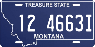 MT license plate 124663I