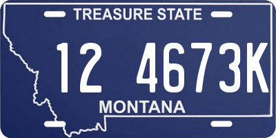 MT license plate 124673K
