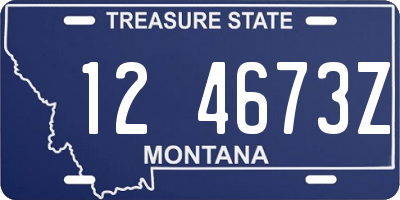 MT license plate 124673Z