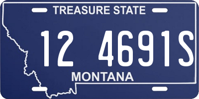 MT license plate 124691S