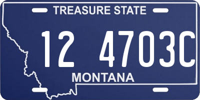 MT license plate 124703C
