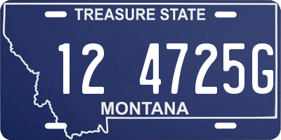 MT license plate 124725G